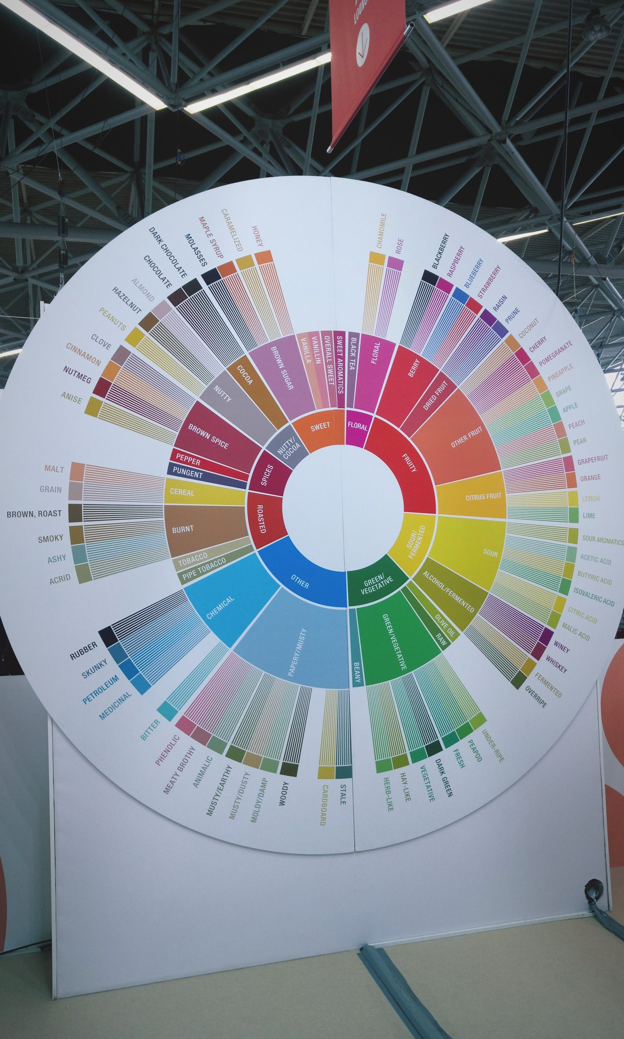 Coffee Expo reflections: from Seattle to Amsterdam